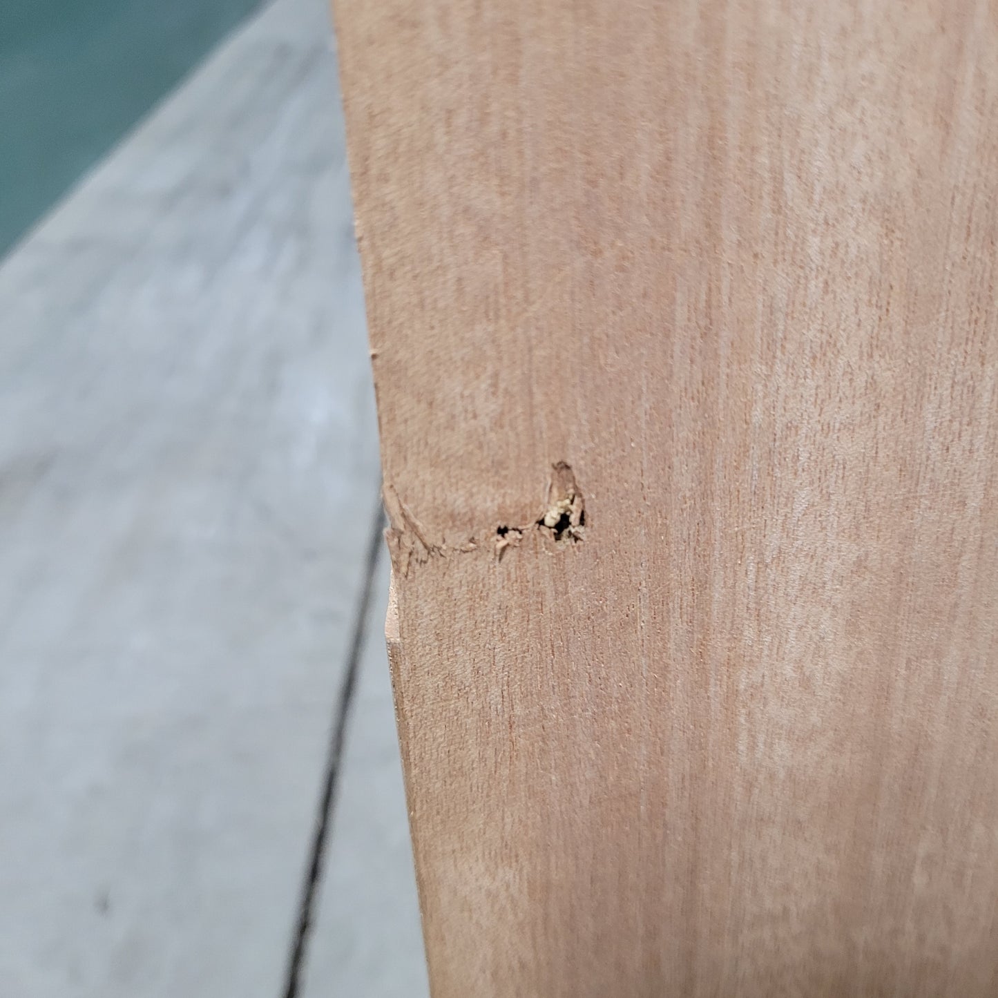 Timber Entry Door - 2040h x 1200w Solid Core w/ 4 x Obscure Glass *Factory 2nd* 10558