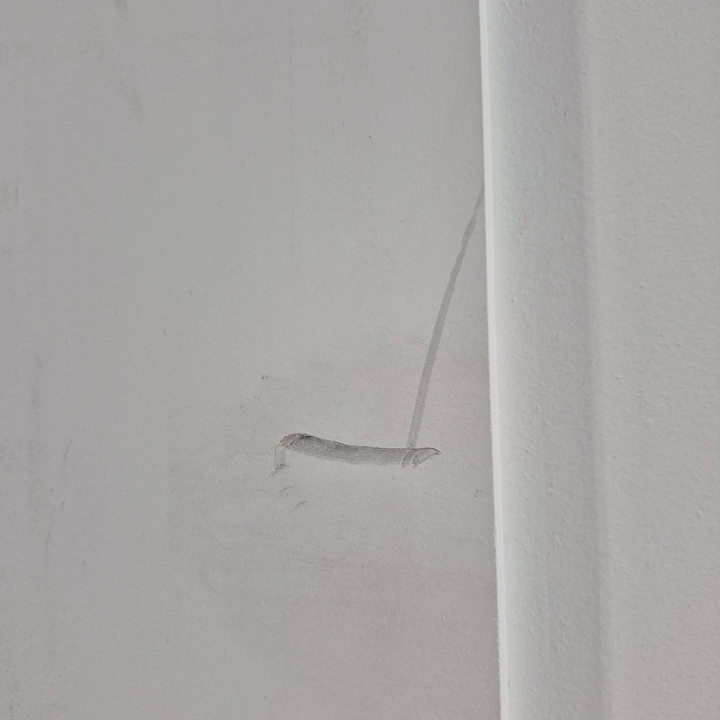 Timber Door - 2340h x 920w Semi-Solid Internal Door w/ Infill Panel (PMOD1) *2nd* SKU: 10586