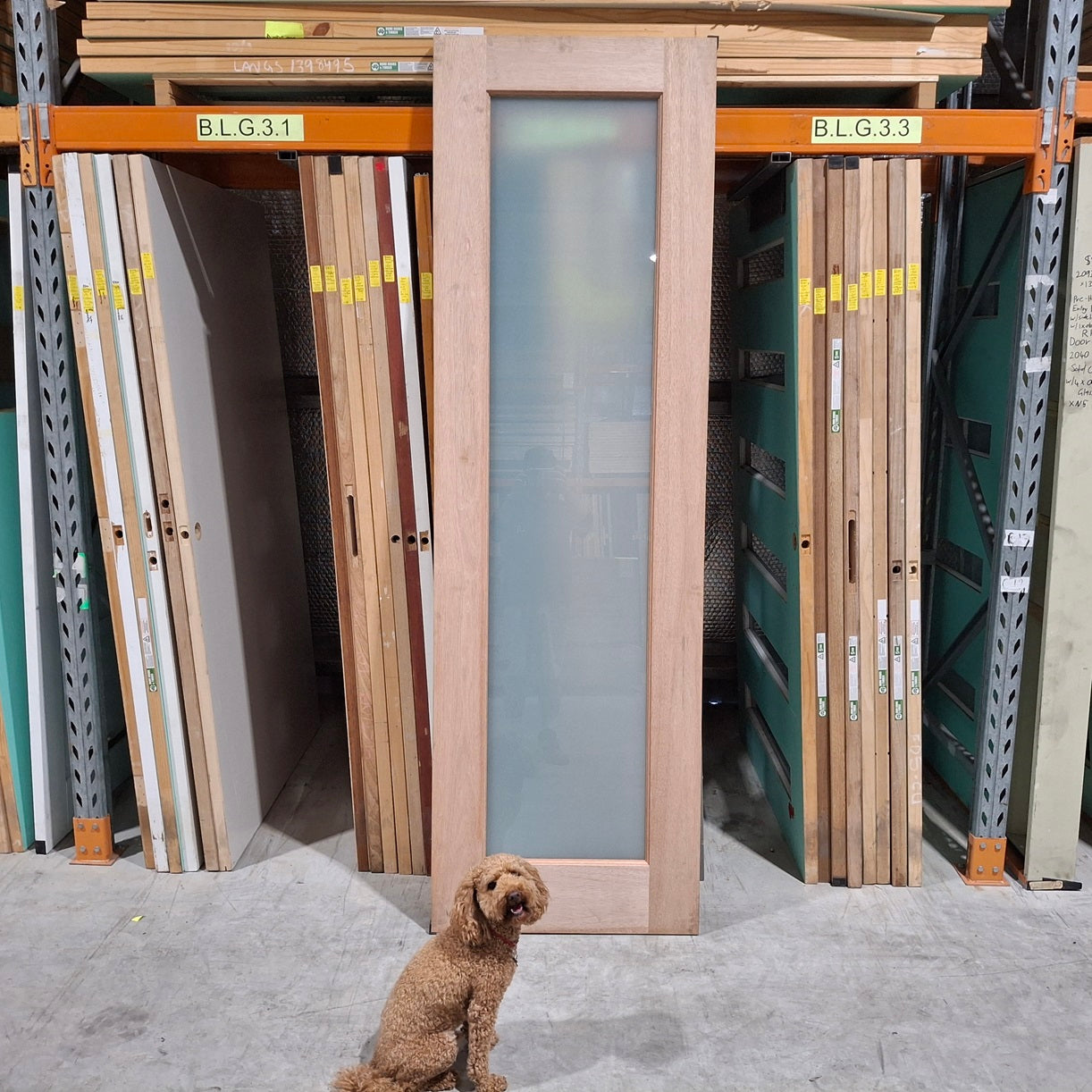 Timber Entry Door - 2340h x 720w Solid Core w/ 1 x Obscure Glass (JST1) *Factory 2nd* SKU: 20185