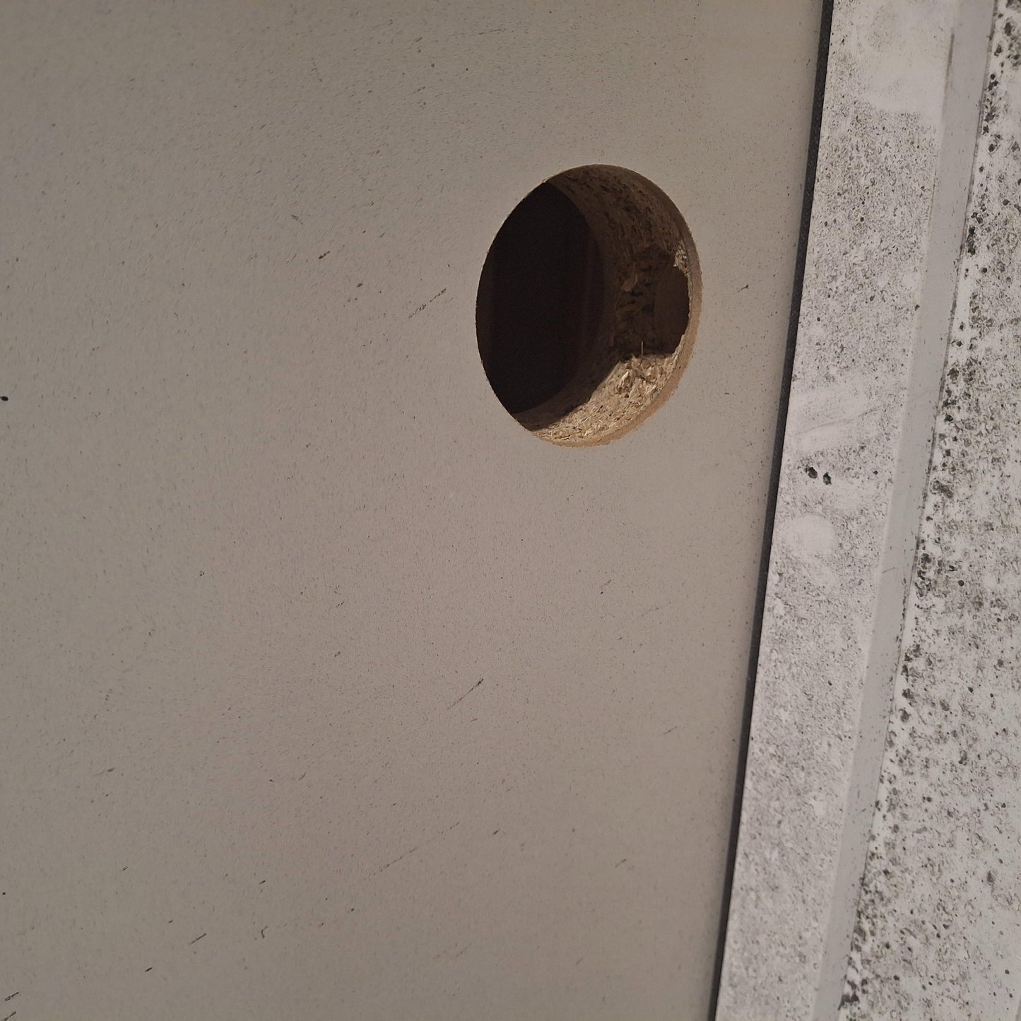 Timber Door - 2040h x 870w Internal Hollow Core, Hung in a 2090h x 910w Frame *Factory 2nd* 20553