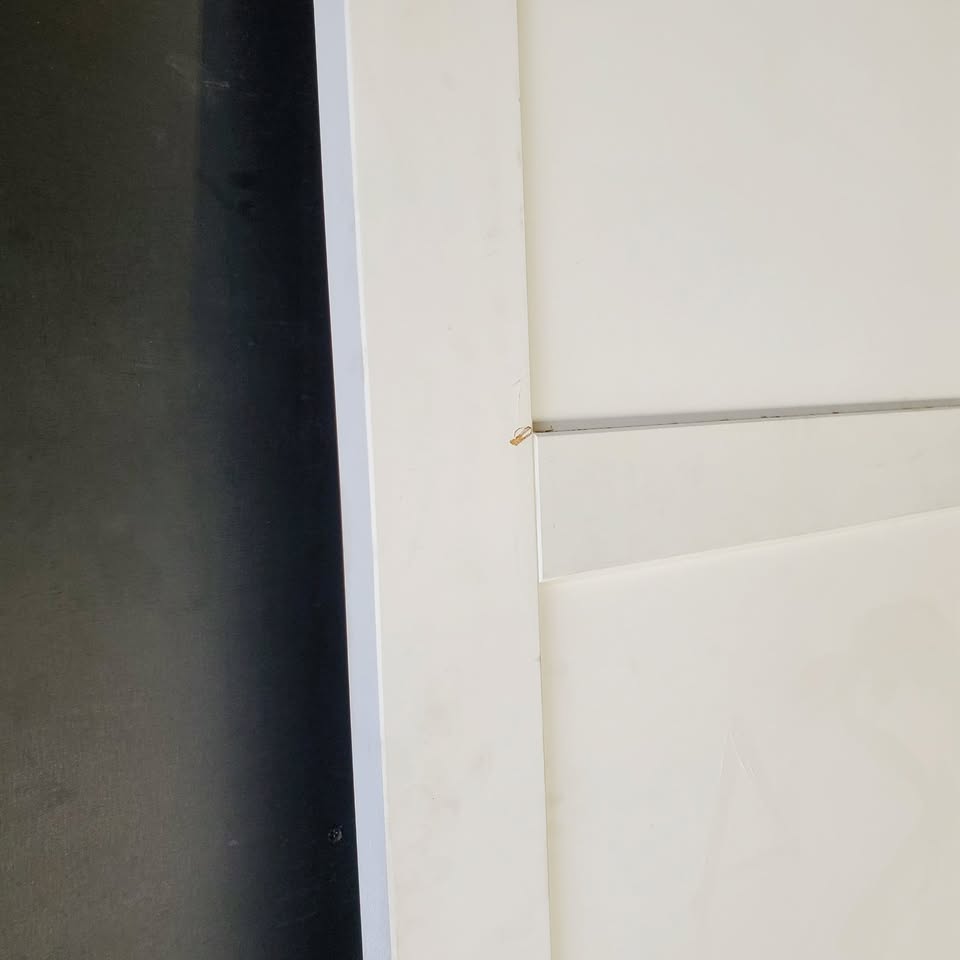 Internal Timber Door - 2340 x 770w Solid Core w/ 3 x Infill Panels (PMOD10) *Factory Second* 30418