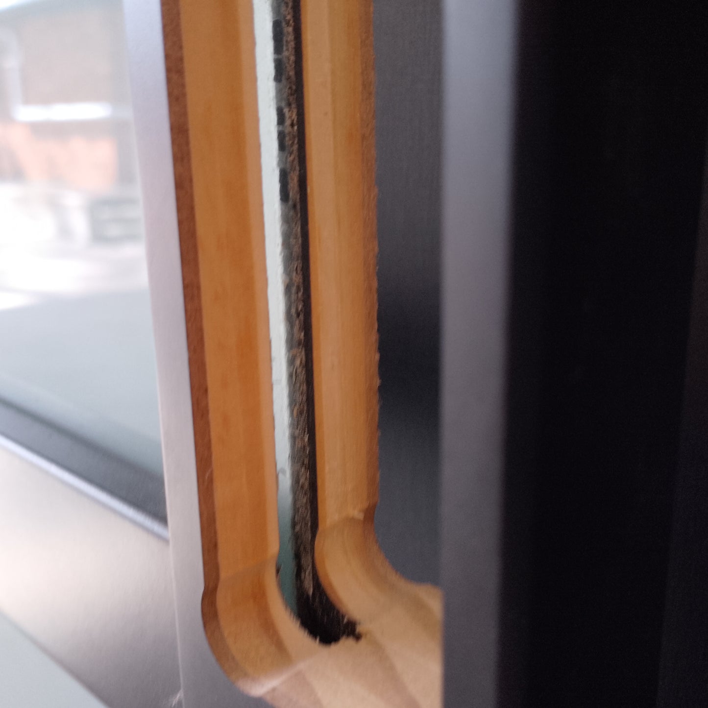 Internal Timber Door - 2340h x 720w Solid Core w/ 5 x Obscure Glass (PMOD5GT) *Factory 2nd* 30567