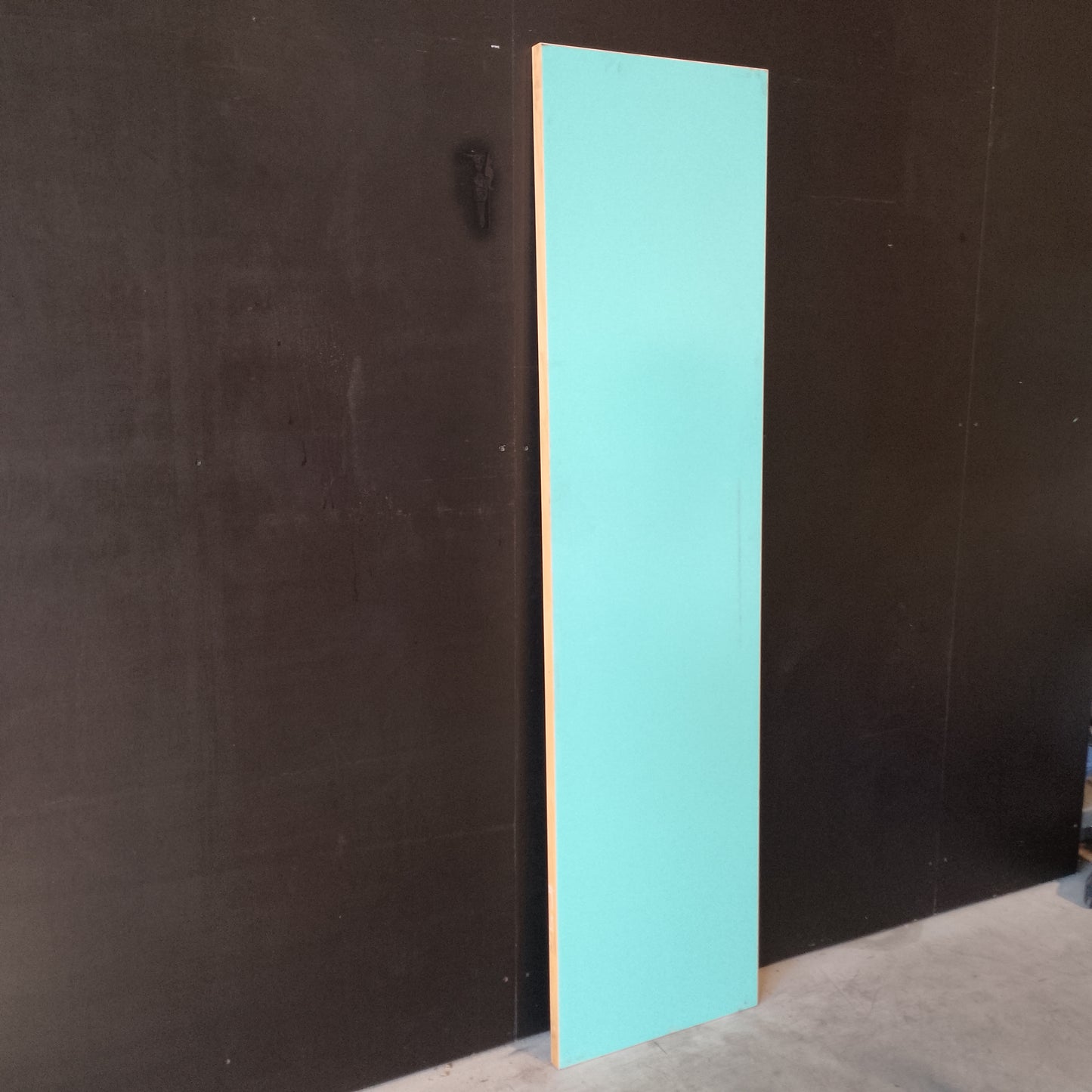 External Timber Door - 2040h x 520w Hollow Core Core Plain (X1) *Factory 2nd* 30636