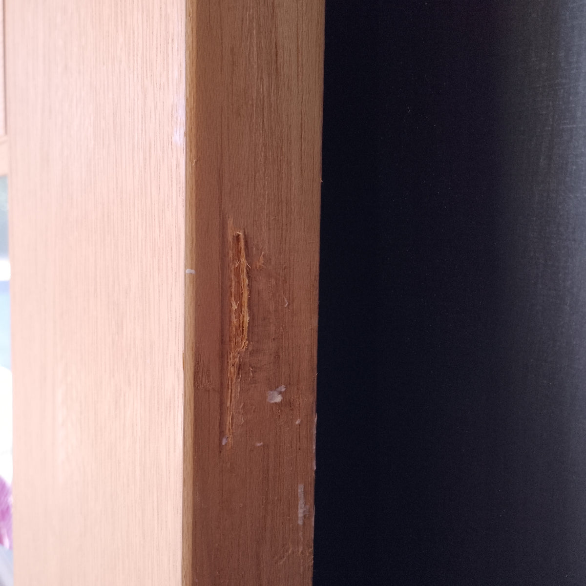 External Timber Door - 2040h x 1020w Solid Core w/ 5 X Obscure Glass (AWO5G) *Factory 2nd* 30701