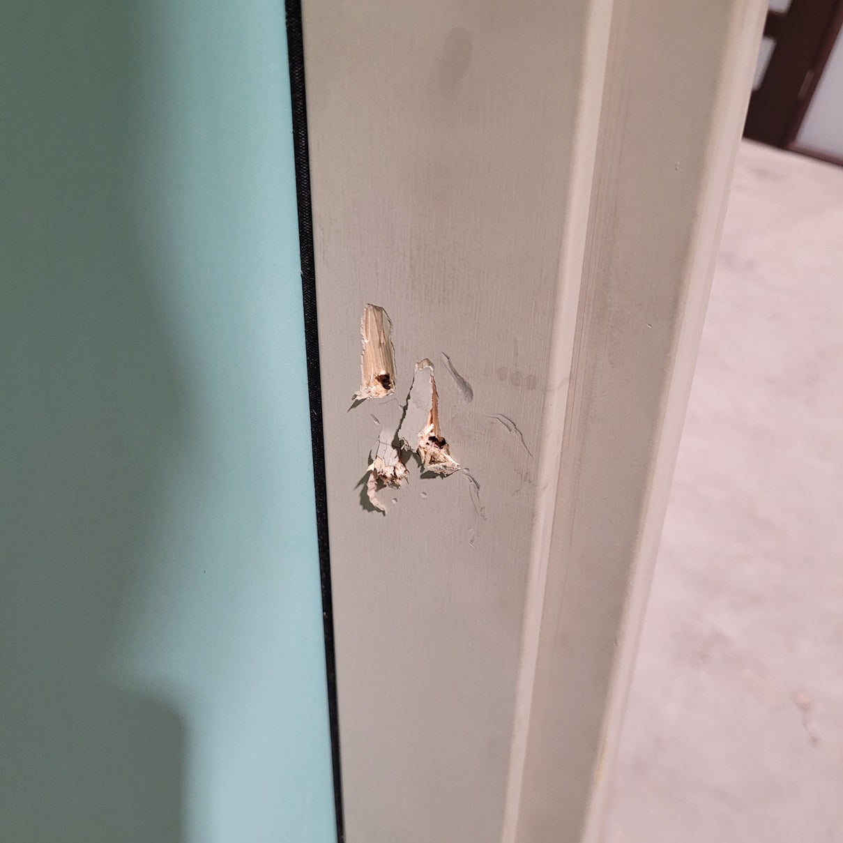 Timber Entry Door - Pre-Hung in a 2400h x 1310w Frame w/ 4 x Obscure Glass *Factory 2nd* 10299