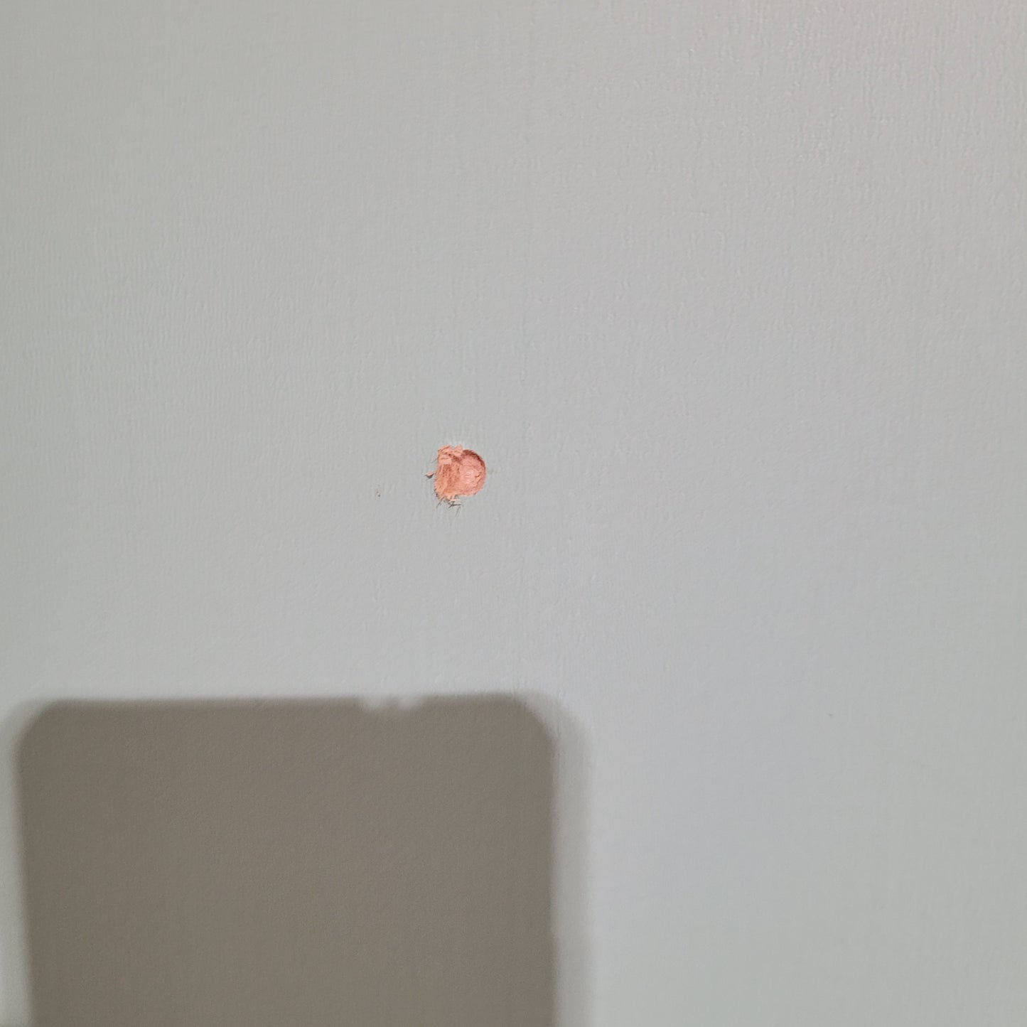 Timber Entry Door - Pre-Hung in a 2430h x 1087w Frame w/ 4 x Clear Glass *Factory 2nd* 10494