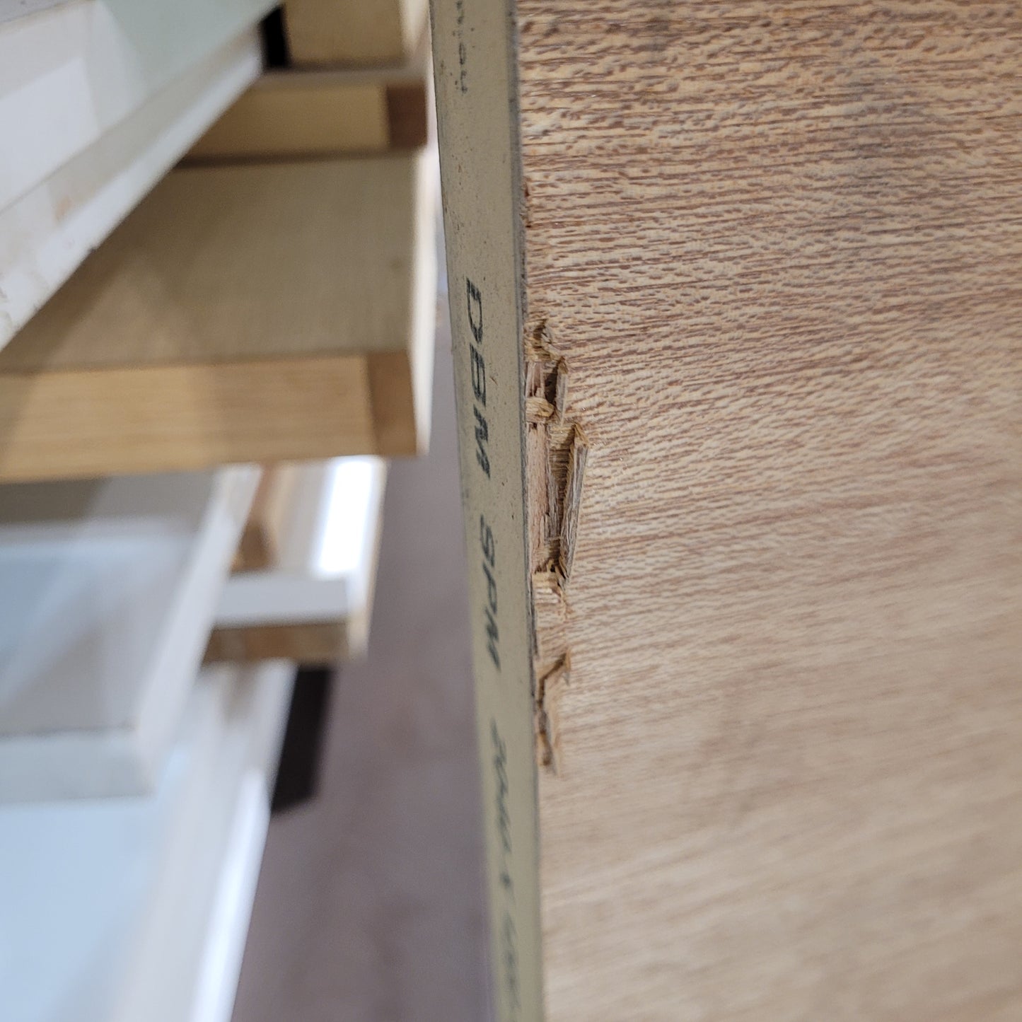 Timber Entry Door - 2040h x 1200w Solid Core w/ 6 x Obscure Glass (XN16) *Factory 2nd* 10562