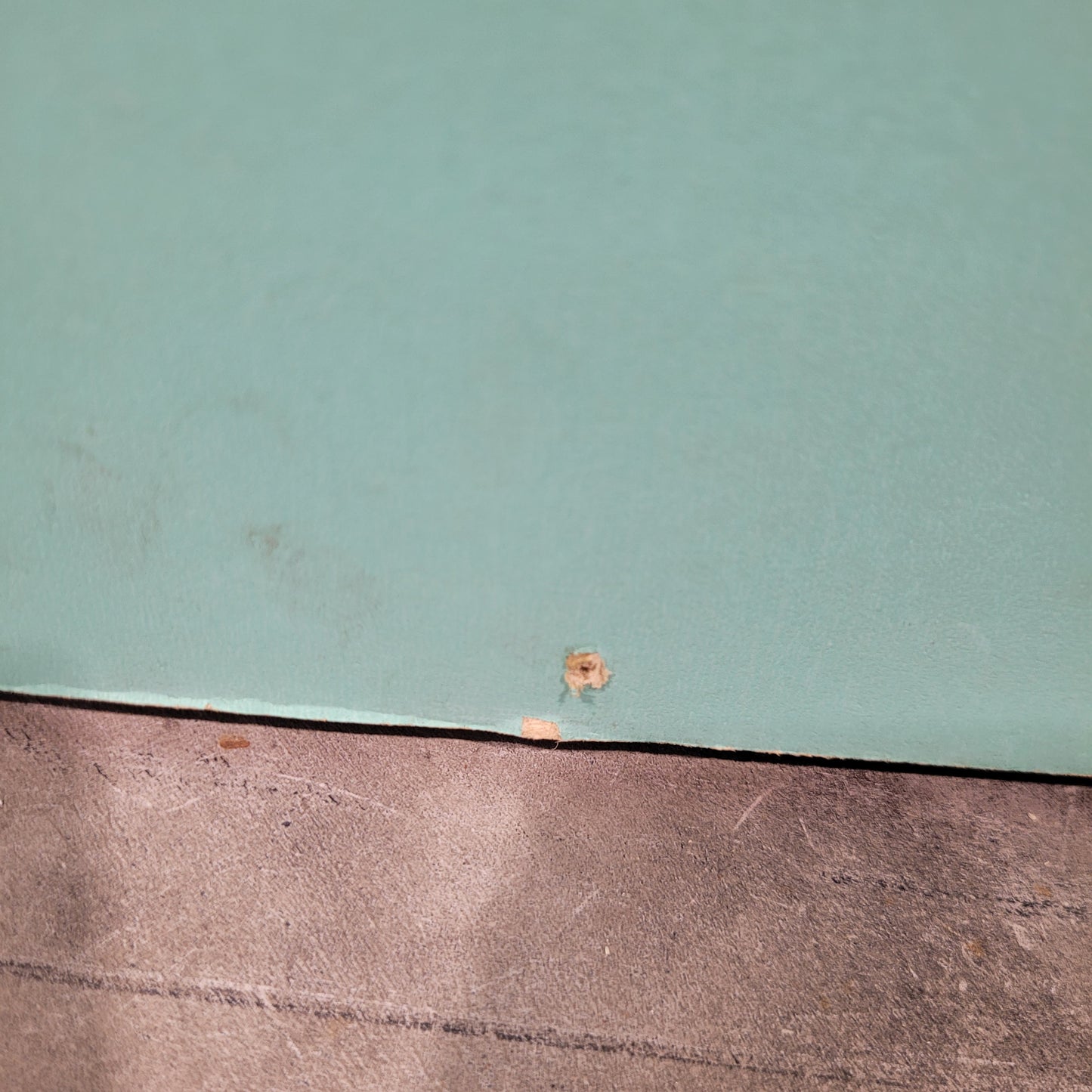 Timber Entry Door - 2040h x 920w Solid Core w/ 1 x Obscure Glass *Factory 2nd - Bowed* 10563