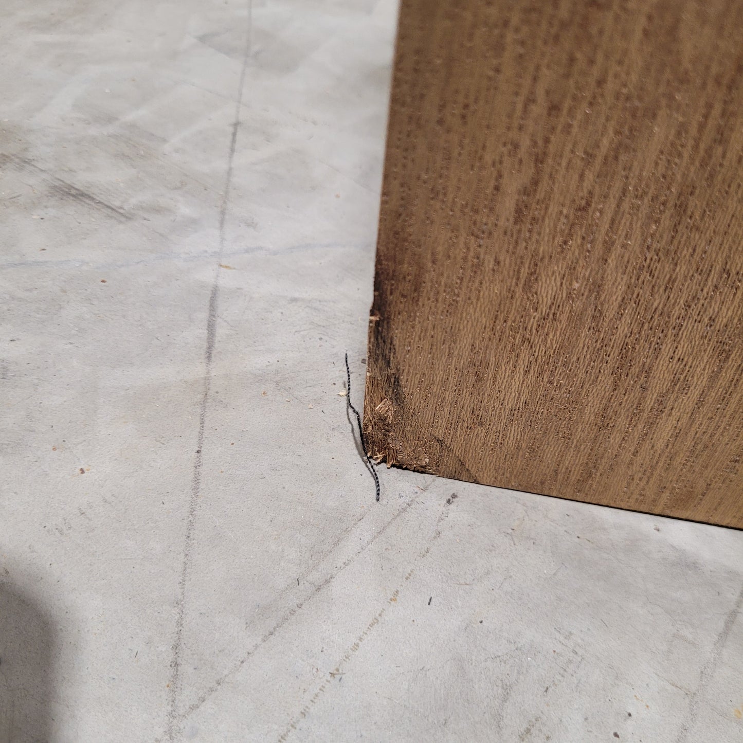 Timber Entry Door - 2340h x 1200w Solid Core w/ 1 x Obscure Glass *Factory 2nd* 10573