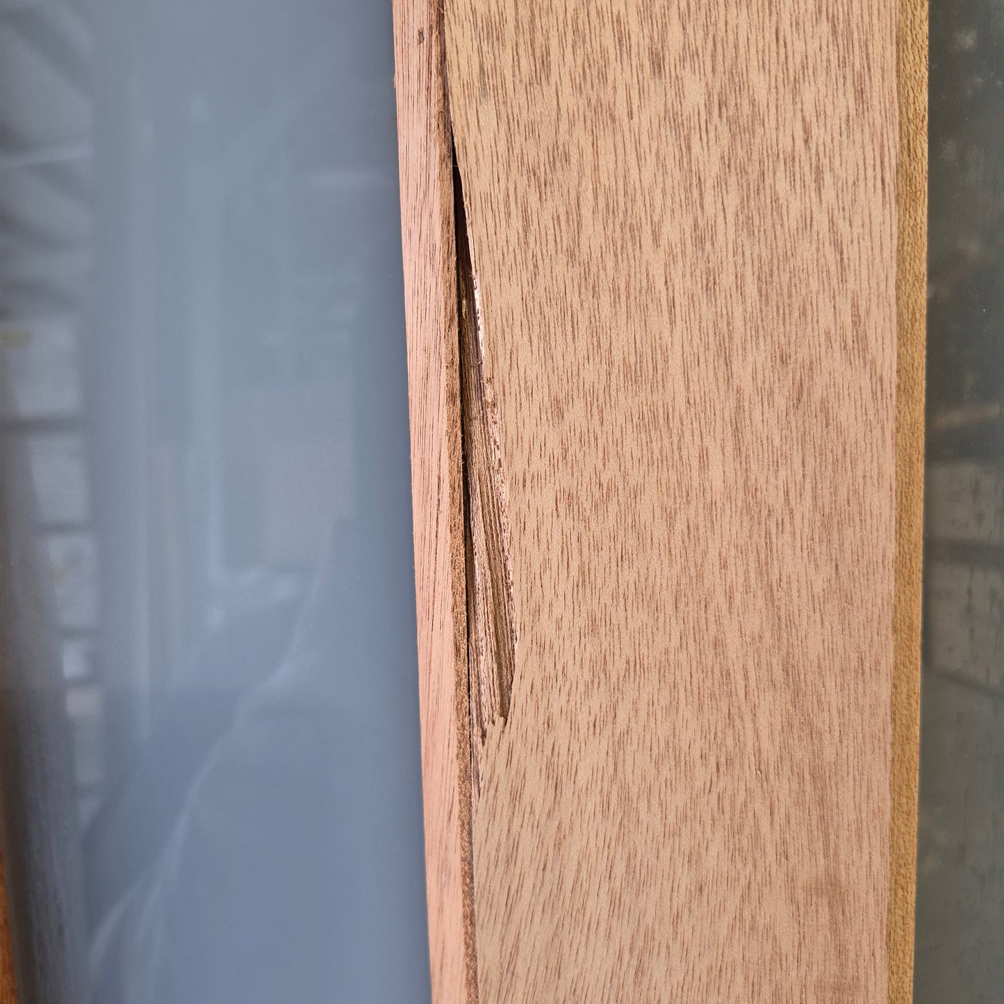 Timber Entry Door - 2340h x 1200w Solid Core w/ 5 x Obscure Glass (XS45) *Factory 2nd* 10606