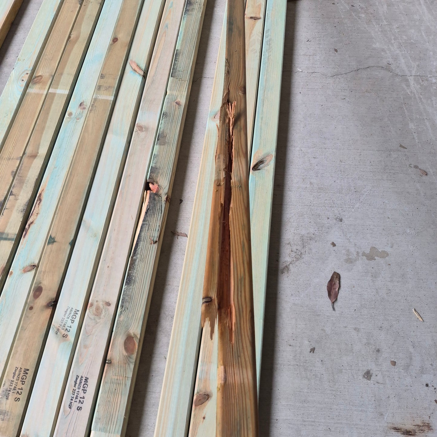 Timber Stud - 20 x 2700mm Lengths 70 x 35mm MGP12 Treated Stud *Clearance - Bowed / Damaged* 10682