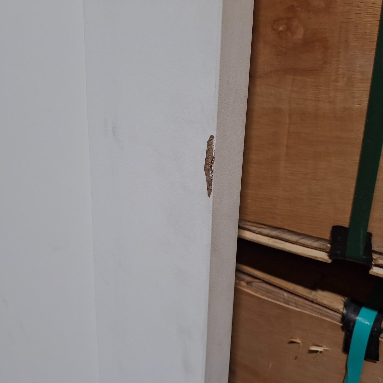 Timber Door - 2340h x 720w Solid Core Internal w/ 1 x Hollow Infill (PMOD1) *Factory 2nd* 20309