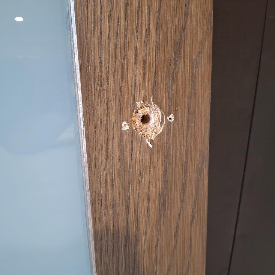 Timber Door - 2340h x 625w Solid Core w/ 1 x Obscure Glass (LIN1) *Factory 2nd* 20417