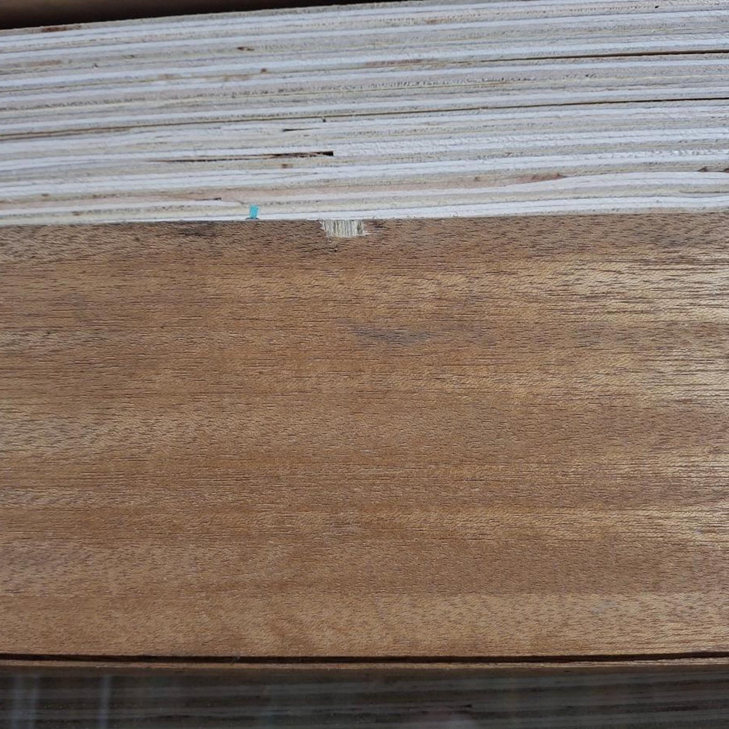 Timber Entry Door - 2040h x 1020w Solid Core w/ 6 x Clear Glass (XS26) *Factory 2nd* 20439