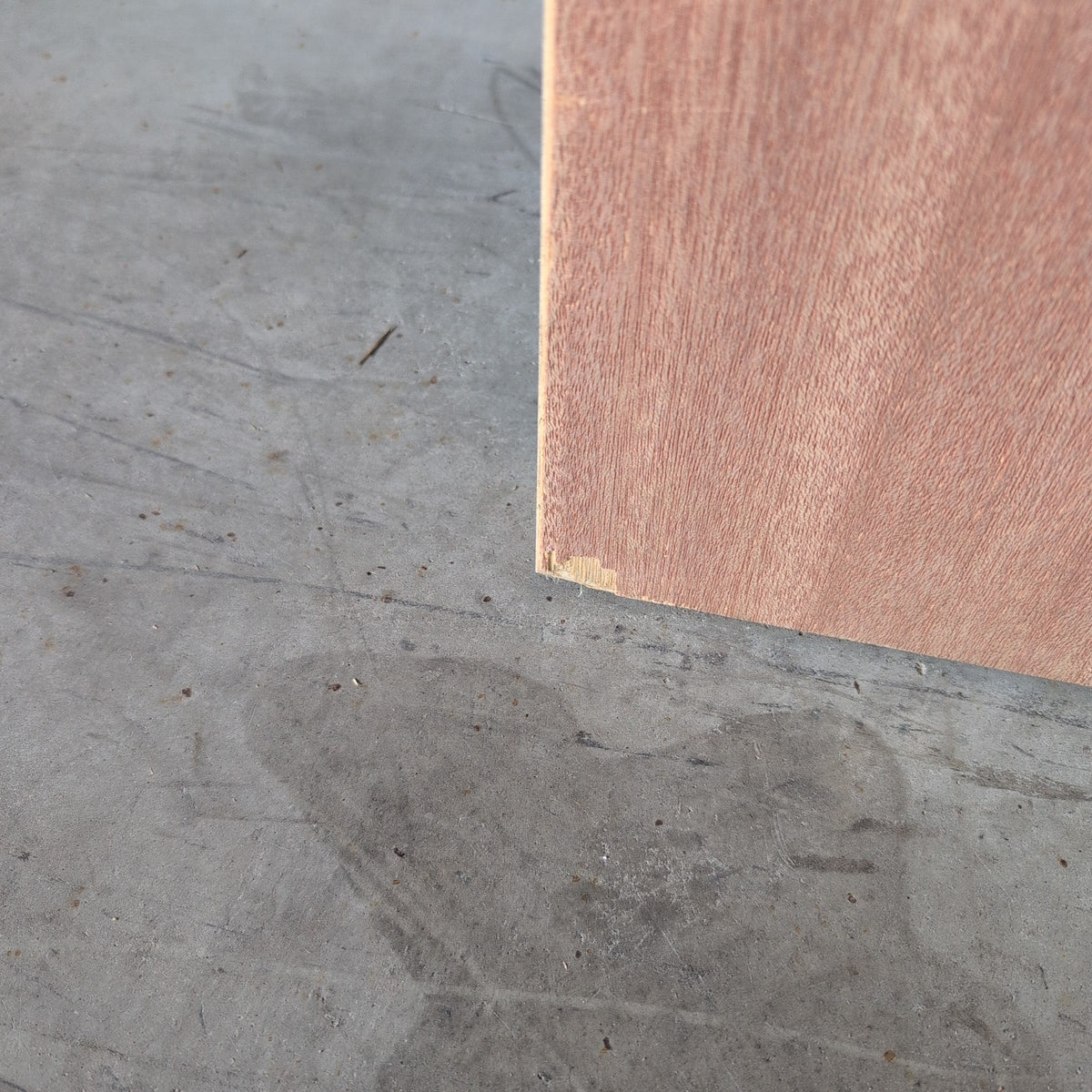 Timber Entry Door - 2040h x 1020w Solid Core w/ 4 x Tint Horizontal Glass (XS11) *Factory 2nd* 20615