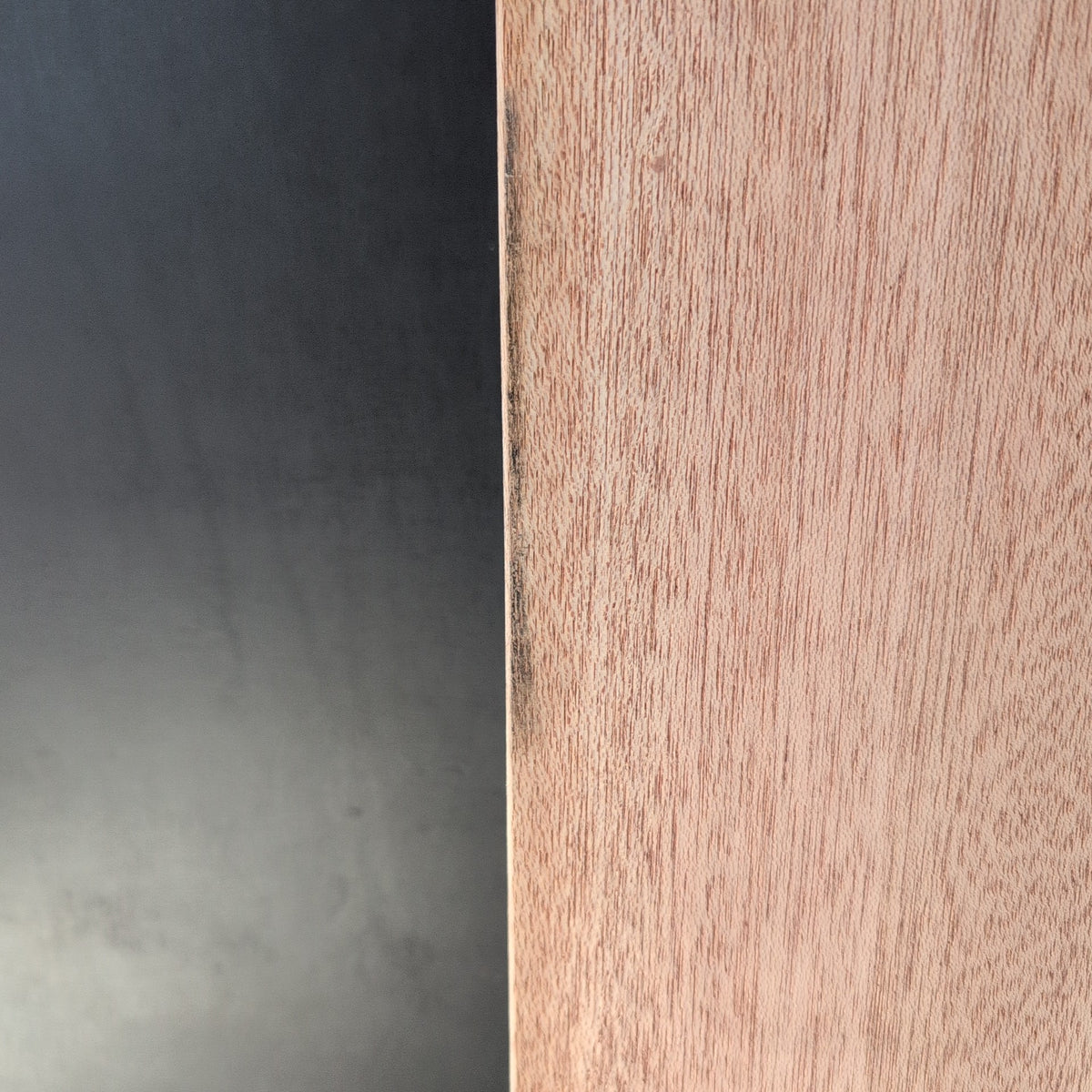 Timber Entry Door - 2040h x 1200w Solid Core w/5 x Tinted Vertical Glass (XS45) *Factory 2nd* 20624