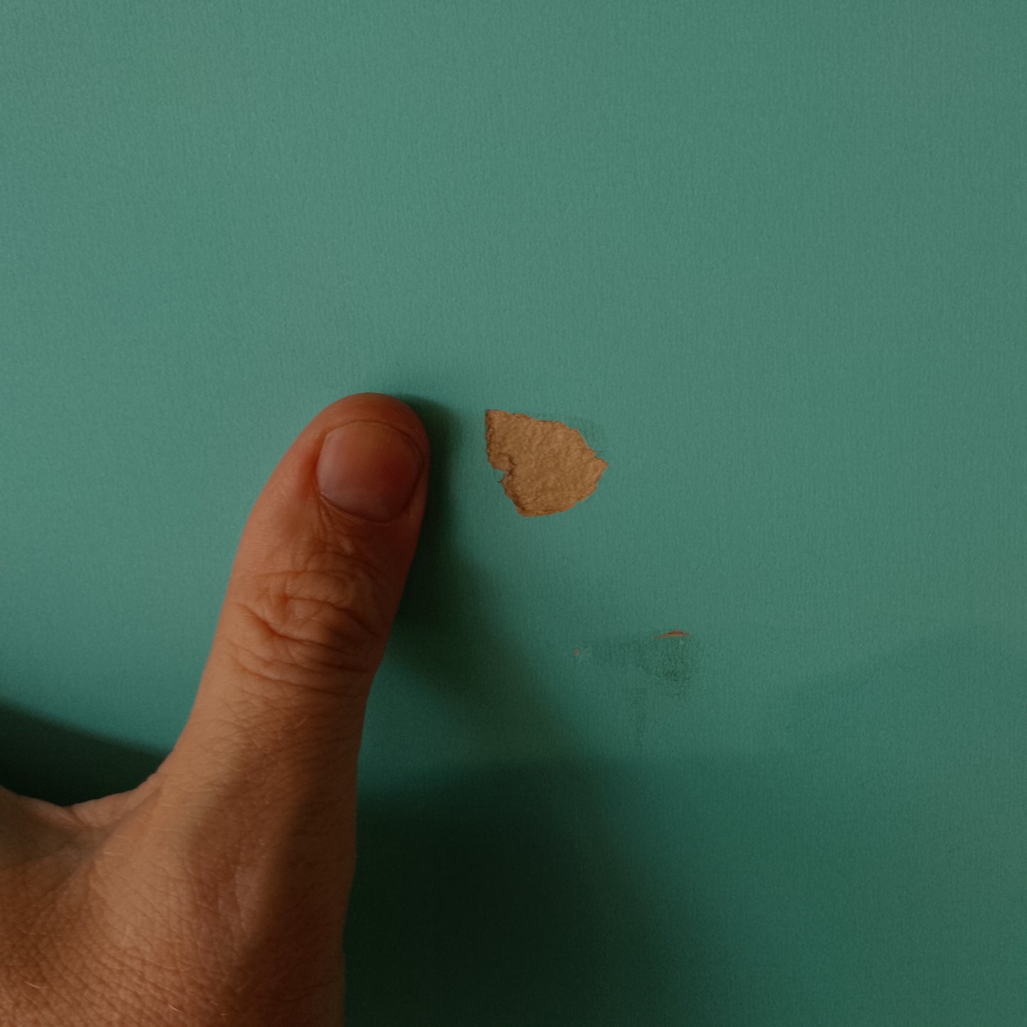 External Timber Door - 2040h x 920w Solid Core w/ 4 X Tinted Glass  (XN7) *Factory Second* 30509