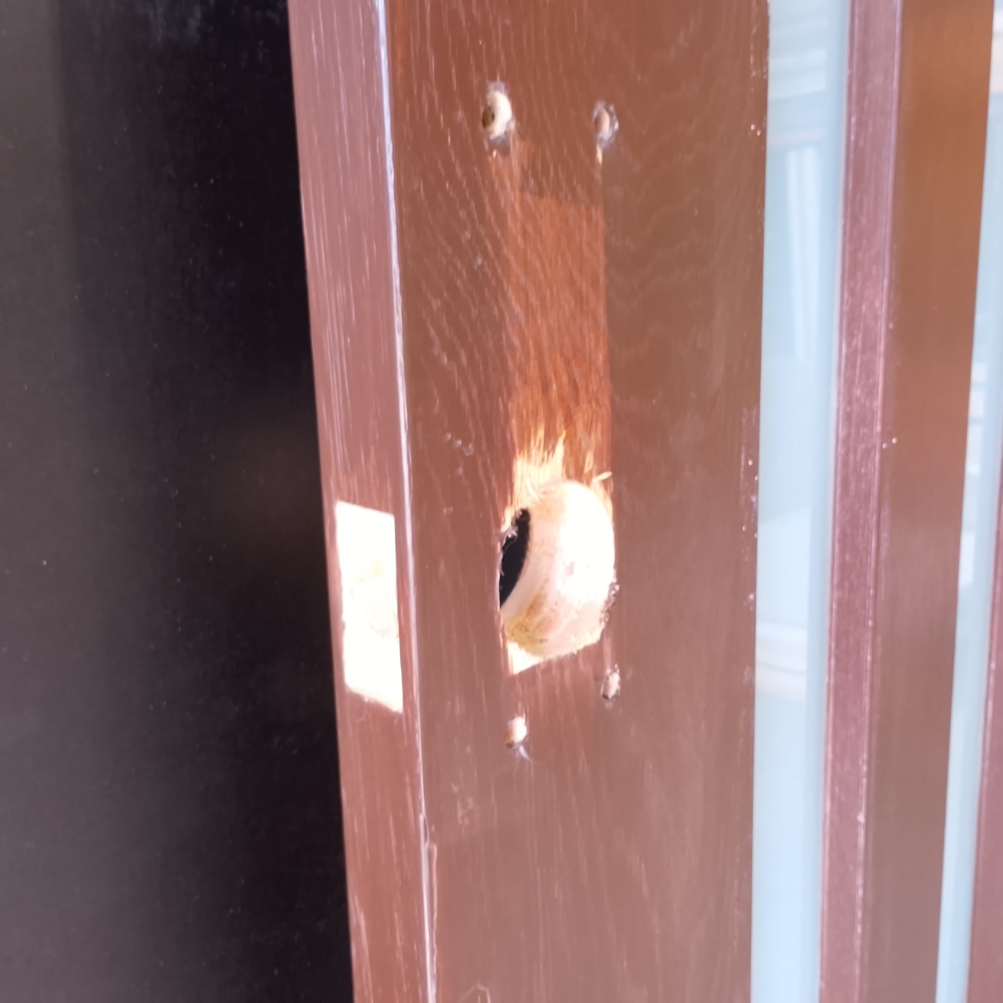External Timber Door - 2340h x 1200w Solid Core w/ 5 X Obscure (frosted) Glass  (AWOWS 5VG) *2nd Hand* 30526