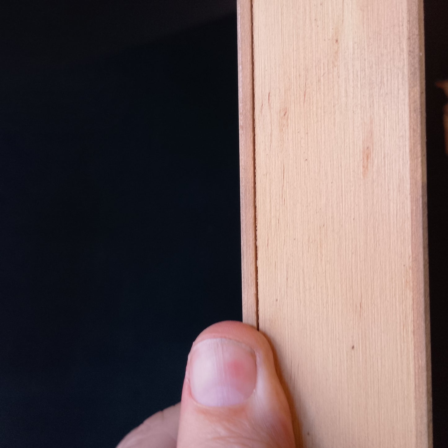 External Timber Door - 2040h x 820w Semi-Solid Core w/ Pattern  (XV20) *Factory 2nd* 30585