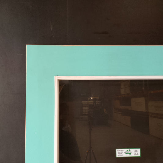 External Timber Door - 2040h x 820w Hollow Core w/ 1 x Clear Glass (XF1) *Factory 2nd* 30638