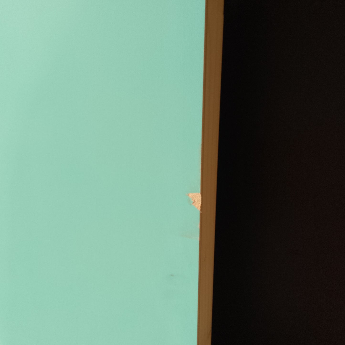 External Timber Door - 2340h x 820w Solid Core w/ Pattern  (XLR170) *Factory 2nd* 30668