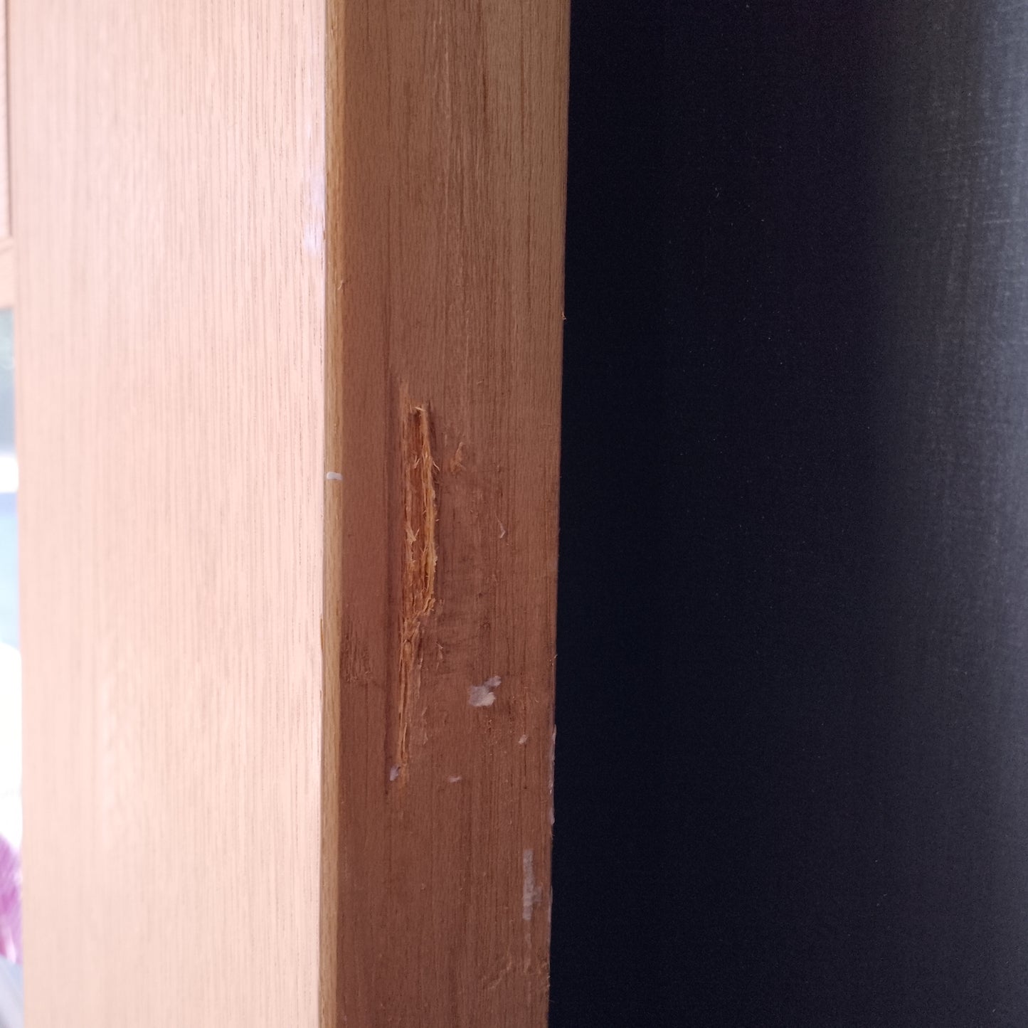 External Timber Door - 2040h x 1020w Solid Core w/ 5 X Obscure Glass (AWO5G) *Factory 2nd* 30701