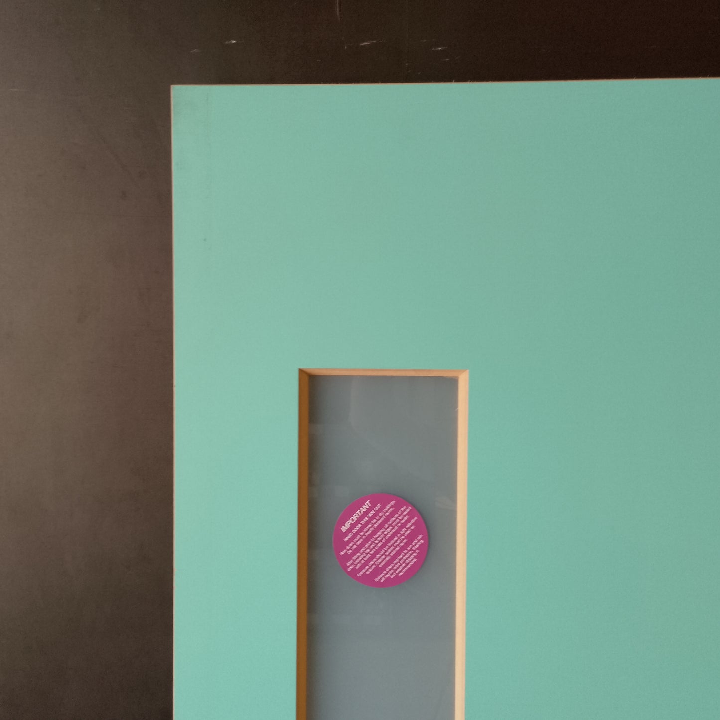 External Timber Door - 2040h x 870w Solid Core w/ 1 X Obscure Glass  (PMAD101) *Factory 2nd* 30718