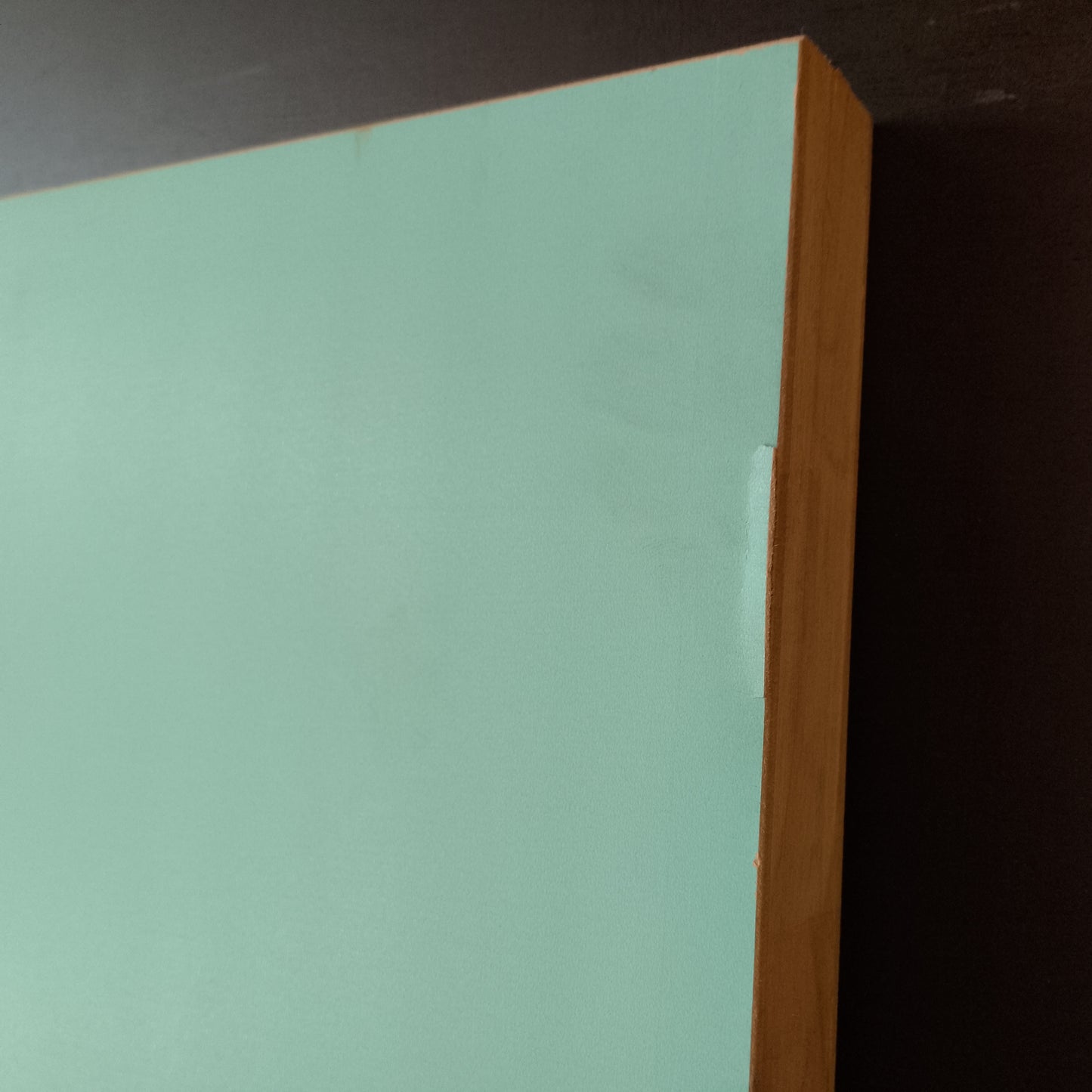 External Timber Door - 2040h x 870w Solid Core w/ 1 X Obscure Glass  (PMAD101) *Factory 2nd* 30718