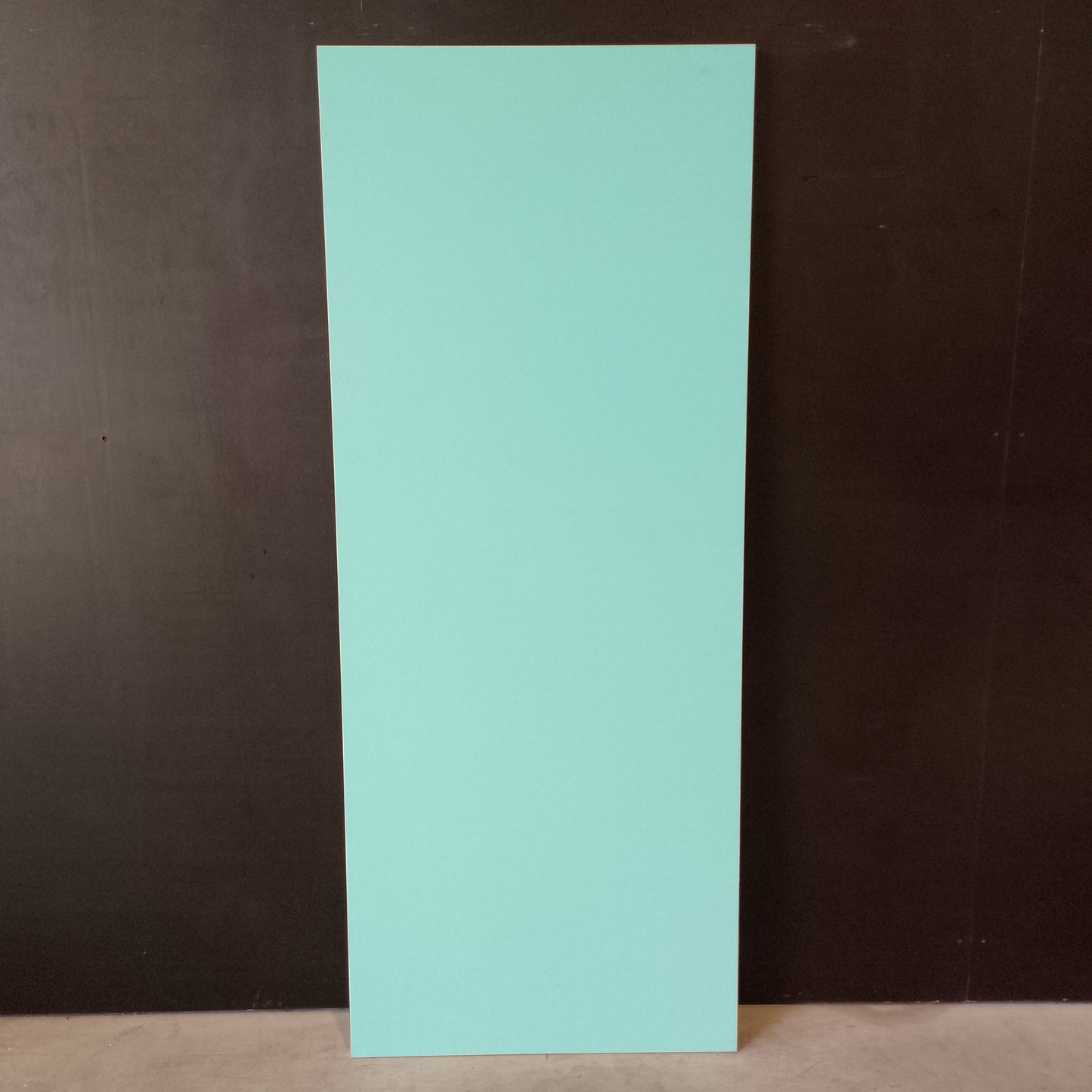 External Timber Door - 2040h x 820w Solid Core Plain (SCX1) *Factory 2nd* 30724