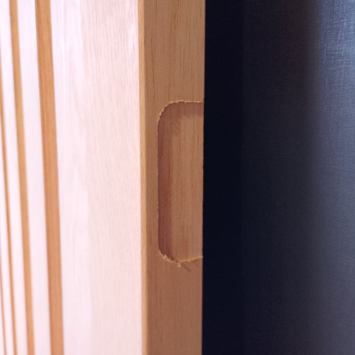 External Timber Door - 2340h x 1020w Solid Core w/ 5 X Clear Glass (AWOWS 5VG) *Factory 2nd* 30794